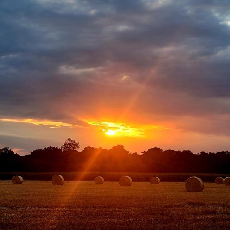 Cottage - Gîte les Bruyères Rebecca - Paysage